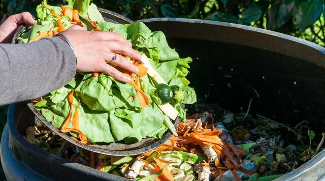 Ecuador es el país de Sudamérica más desperdicia alimentos en la región. Foto: Freepick   