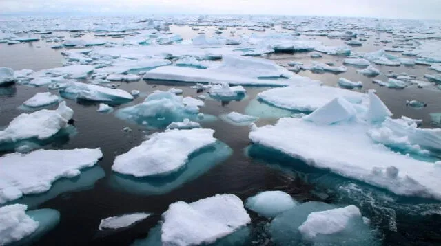 El océano Ártico no solo es el más pequeño, sino también el más septentrional del mundo. Foto: Freepik    