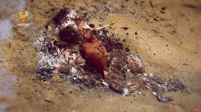  Animales muertos instantáneamente al ingresar al río Mayantuyacu. Foto: captura de pantalla/History Latinoamérica/YouTube   