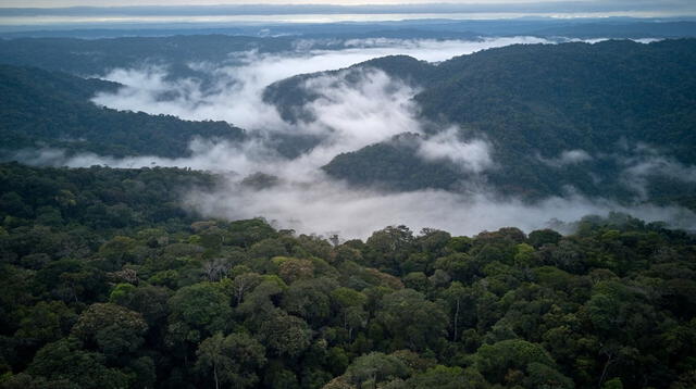 Perú | Ecuador | Colombia | Paraguay | Argentina | Uruguay | Brasil | ríos voladores | océano Atlántico tropical