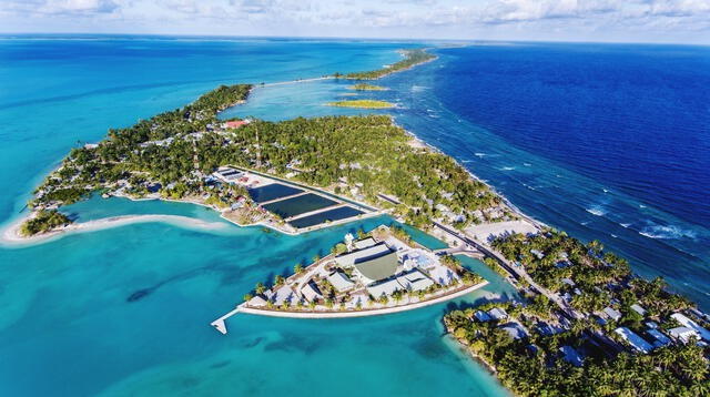  This time difference between Kiribati and the Baker and Howland Islands creates a 26-hour gap in global celebrations. Image: CDN<br>    