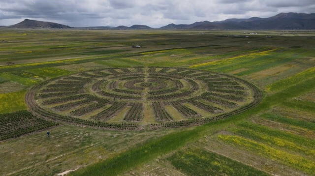 La técnica Waru-Waru, un legado sostenible para enfrentar el cambio climático. Foto: Andina. La técnica Waru-Waru, un legado sostenible para enfrentar el cambio climático. Foto: Andina.