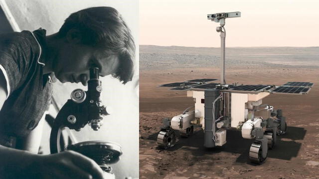 El nuevo rover Rosalind Franklin fue bautizado con ese nombre en honor a una química británica, quien participó en el descubrimiento de la estructura del ADN. Foto: ESA / Wikicommons