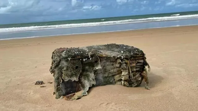 Bale visto en la playa de Pituba, en Coruripe, en la costa sur de Alagoas, en julio: la carga era de otro barco alemán Imagen: Ayuntamiento de Coruripe