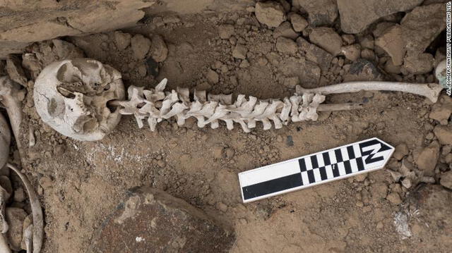 Una vértebra en poste fue insertada en un cráneo, como se encontró dentro de una chullpa. Foto: Antiquity