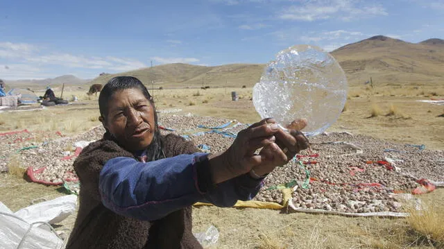 El intenso frío del altiplano puneño sirve para la elaboración del chuño. Foto: La República / Carlos Cisneros