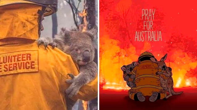Millones de animalitos murieron por los incendios en Australia.