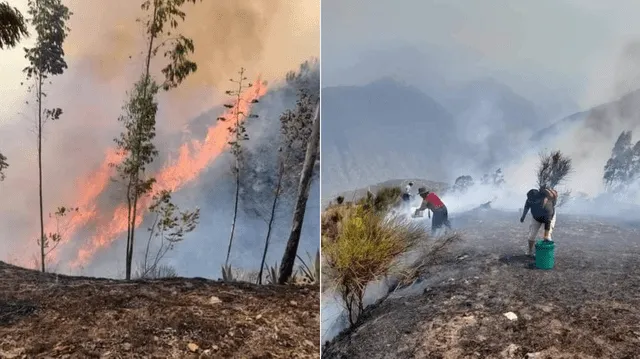  El país donde más incendios se registraron fue Brasil. Foto: Druni<br>   