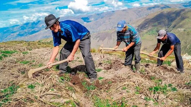  El día del campesino se celebra cada 24 de junio en nuestro país. Foto: Gobierno  