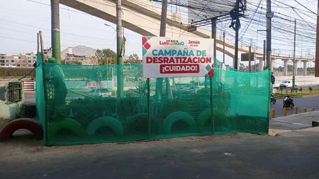 Desratización de Santa Rosita inició el pasado 23 de enero. Foto: La República   