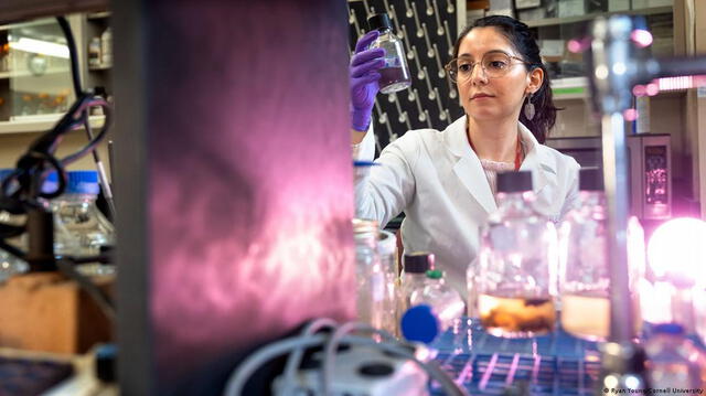 Ligia Fonseca Coelho se dedica a cultivar muestras de bacteria. Foto: Ryan Young / Universidad de Cornell   