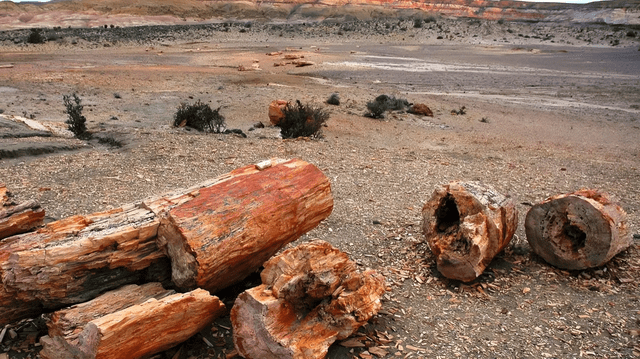 Este lugar, que sigue abierto al turismo, ha sido de gran importancia para la investigación sobre las condiciones de la Tierra en aquel periodo antiguo. Foto: National Geographic   