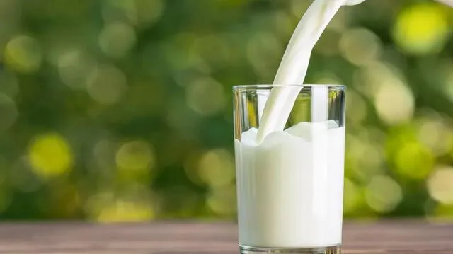 Este fruto contiene casi el doble de calcio que la leche. Foto: Shutterstock.   