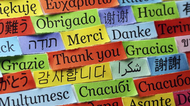  El portugués no figura en el top 5 de los idiomas más hablados del mundo. Foto: El Sumario<br>    