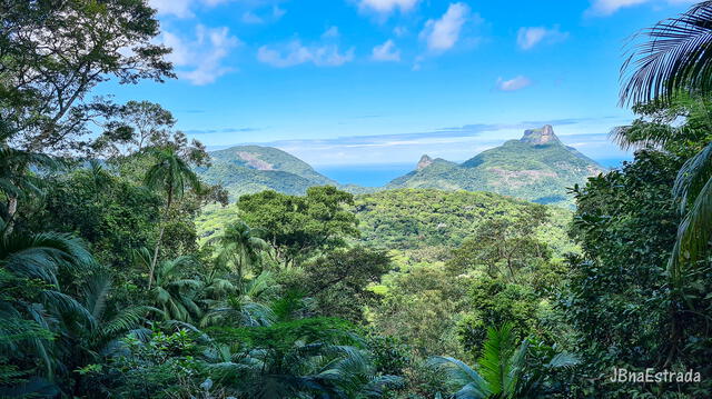 El parque Tijuca fue inicialmente un área de selva atlántica que fue desforestada para dar lugar a plantaciones de café en el siglo XIX. Foto: JBnaEstrada   