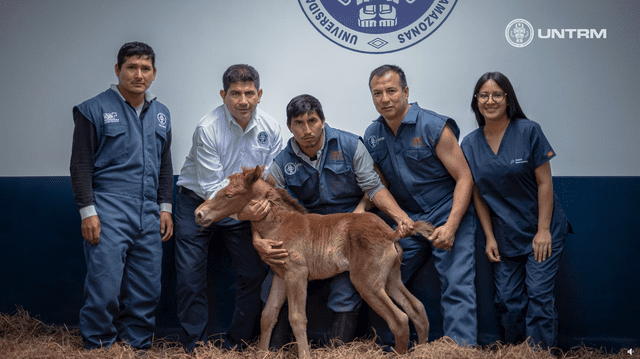 Investigadores de BiotecLab, IGBI, de la UNTRM. Foto: captura de pantalla/UNTRM/Facebook   