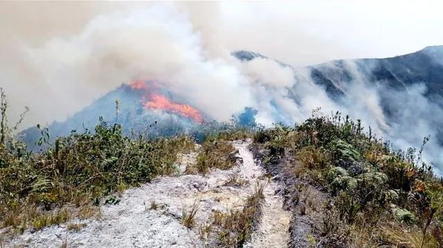 El Senamhi ha lanzado una alerta naranja en 18 regiones del país por un nuevo fenómeno meteorológico que incrementará la temperatura del clima. Foto: Amazonas   