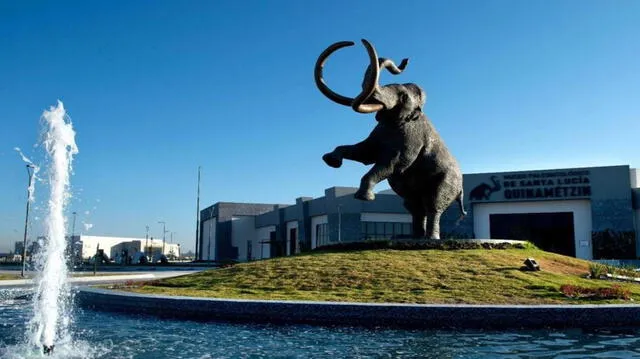  Además de su belleza, estos aeropuertos suelen contar con obras de arte, esculturas y exposiciones culturales que enriquecen la experiencia de los pasajeros. Foto: CNN México   