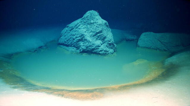  El descubrimiento sugiere que el fondo oceánico, y no solo las zonas iluminadas, pudo haber sido uno de los entornos primitivos donde surgió la vida. Foto: OceanX   