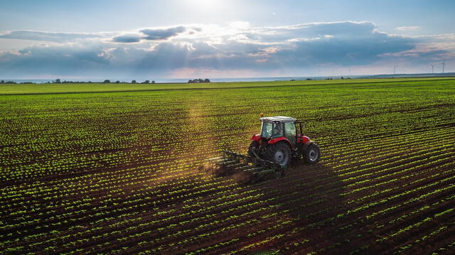  Australia cuenta con una gran extensión de tierras fértiles y una agricultura diversificada, lo que le permitiría producir alimentos para su población incluso en condiciones extremas. Foto: ACE Australia   