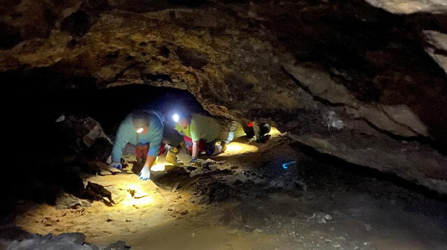 Investigadores realizando trabajos en la Cueva del Mamut, el sistema de cuevas más extenso del mundo. Foto: difusión Investigadores realizando trabajos en la Cueva del Mamut, el sistema de cuevas más extenso del mundo. Foto: difusión