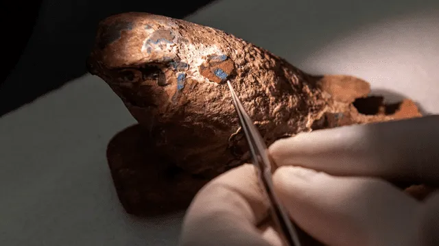 Los científicos descubrieron la forma de reproducir el pigmento azul en un antiguo halcón de madera egipcio. Foto: Museo Carnegie de Historia Natural. Los científicos descubrieron la forma de reproducir el pigmento azul en un antiguo halcón de madera egipcio. Foto: Museo Carnegie de Historia Natural.