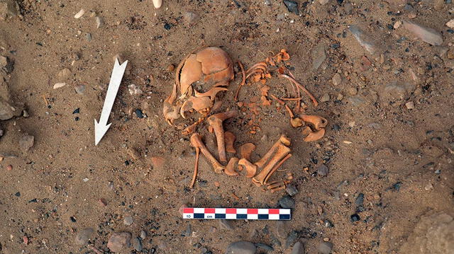 Entierro de un perro de entre 1100-500 años de antigüedad en Perú, depositado en posición de descanso. Foto: Nicolas Goepfert Entierro de un perro de entre 1100-500 años de antigüedad en Perú, depositado en posición de descanso. Foto: Nicolas Goepfert