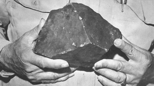  El meteorito pesaba casi 4 kilos. Foto: Museo de Alabama   