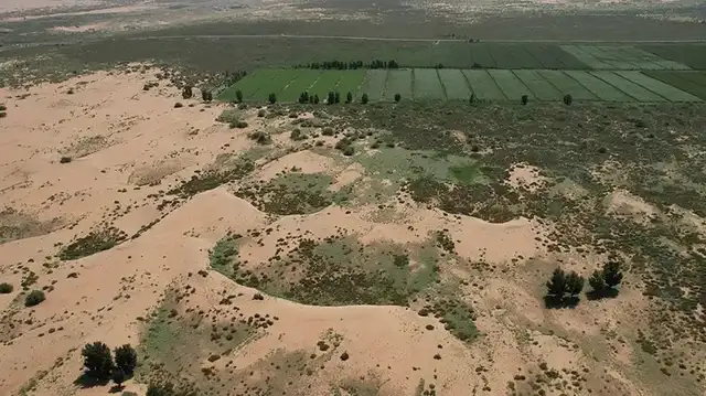  El proyecto de China estabiliza los suelos, reduce las tormentas de arena y busca un incremento significativo en la cobertura vegetal de las zonas áridas chinas. Foto: AFP<br>    