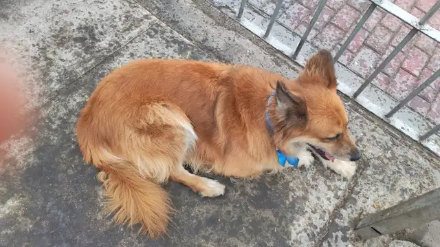 Foto de Lalo. Foto de Lalo.