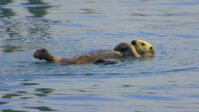 Arequipa: Declaran como maravilla natural a laguna Mamacocha [FOTOS]