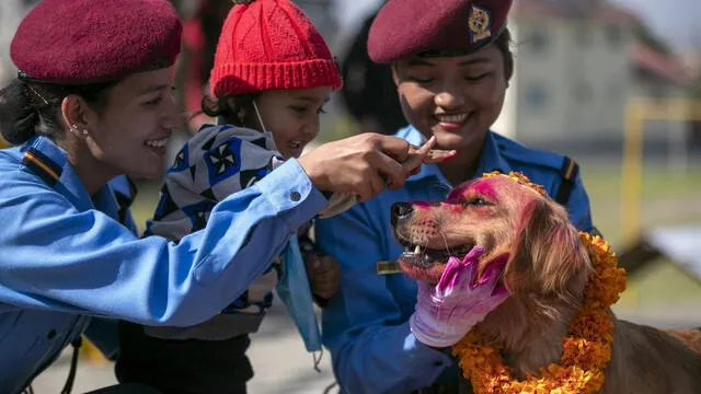 ¿Qué es el festival Kukur Tihar en Nepal y por qué celebra y honra a los perros?