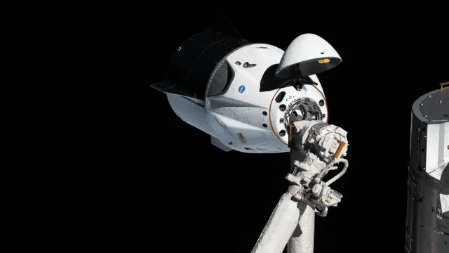 Misión SpaceX Crew-2. Foto: EFE