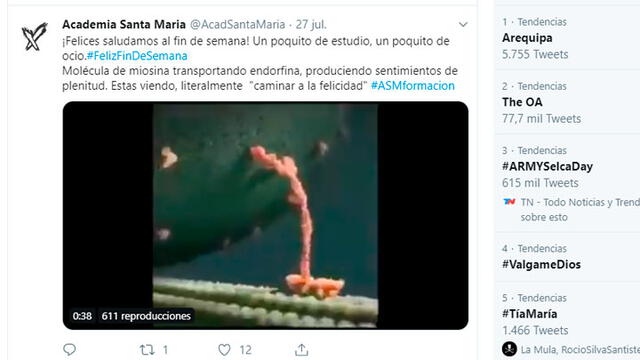 Tweet afirmaba que se trataba del transporte de la endorfina.
