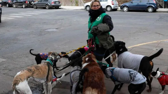 Pasos para iniciar un negocio rentable desde casa Pasos para iniciar un negocio rentable desde casa