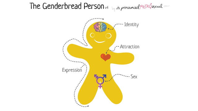 Genderbread Person analizará el sexo biológico, identidad de género, orientación sexual y expresión de género. Foto: Difusión