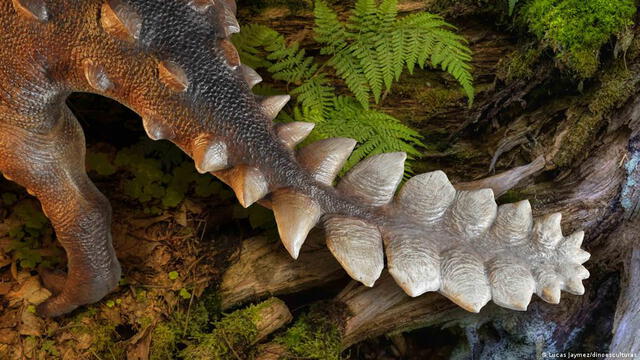Reconstrucción artística de la cola del Stegourus. Foto: Lucas Jaymez / Dinoesculturas