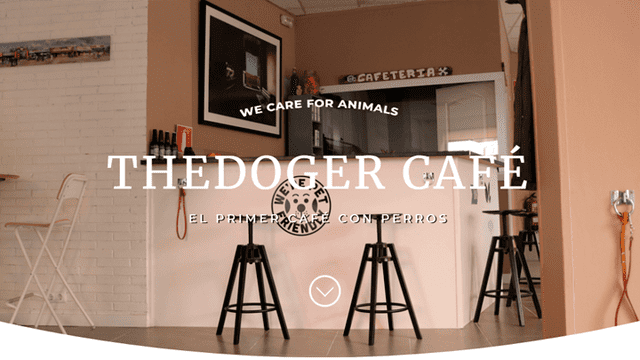 El primer café de Madrid pet friendly con cachorros en adopción [VIDEO]