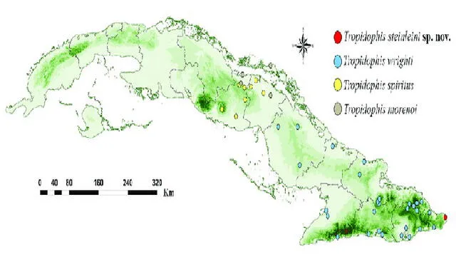 Nueva especie de serpiente fue hallada en el extremo más oriental de la Isla de Cuba. Foto: Researchgate.