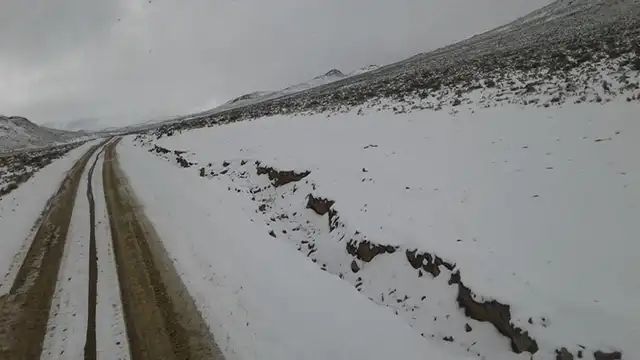Heladas afectan cuatro distritos de Moquegua [FOTOS]