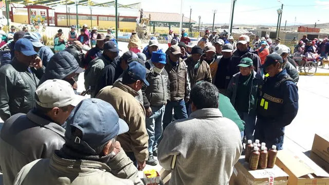 Gobierno entregó ayuda para proteger ganado ante intensas heladas en Arequipa [FOTOS]