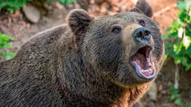 Hombre confesó que bebía de su propia oirina para poder alimentarse. Foto: RT.