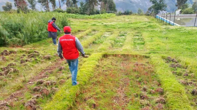 Auditores alertan el riesgo de perder inversión en el proyecto de reforestación