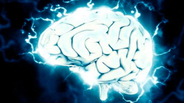 Los científicos deben probar que no se produzca una irregular actividad eléctrica en el cerebro tras la perfusión. Foto: Difusión