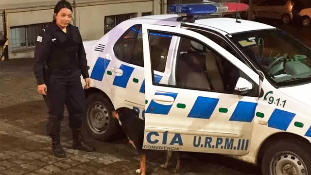 Facebook perro sigue patrulla de policía que trasladaba a su dueña herida al hospital