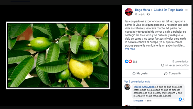 Coronavirus Coronavirus