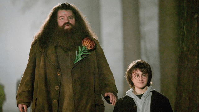 Animales fantásticos 3 podría presentar a Hagrid y personajes originales de Harry Potter