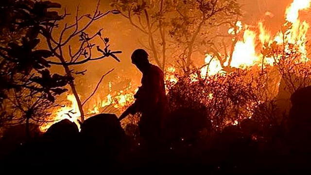 Incendio en la Amazonía inició hace tres semanas. Foto: EFE.