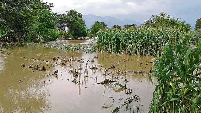 Desborde de ríos aisló a pobladores de varios caseríos de Lambayeque