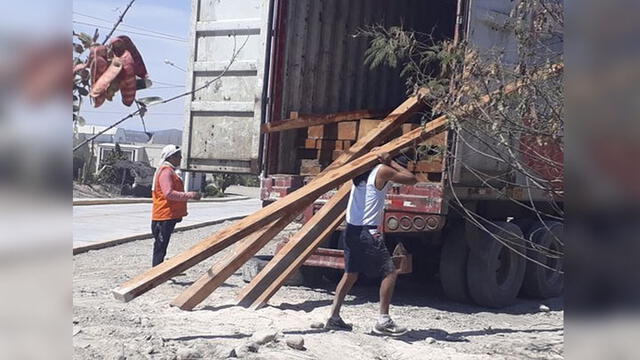 Decomisan cedro de procedencia ilegal en Arequipa [VIDEO]